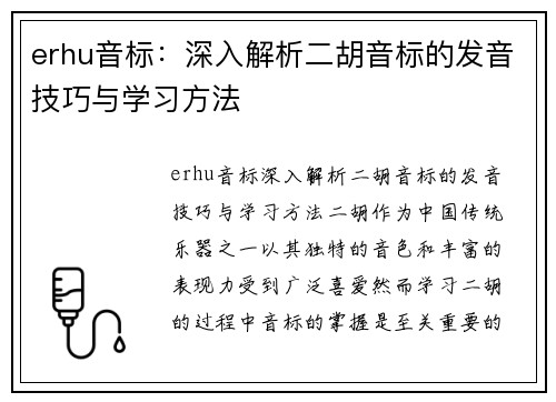 erhu音标：深入解析二胡音标的发音技巧与学习方法