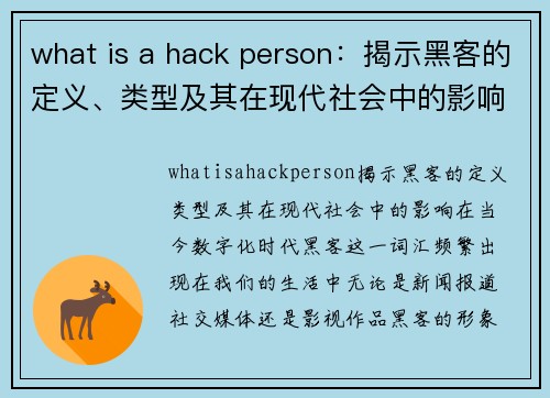 what is a hack person：揭示黑客的定义、类型及其在现代社会中的影响